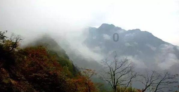 红手指云手机ios下载官网
