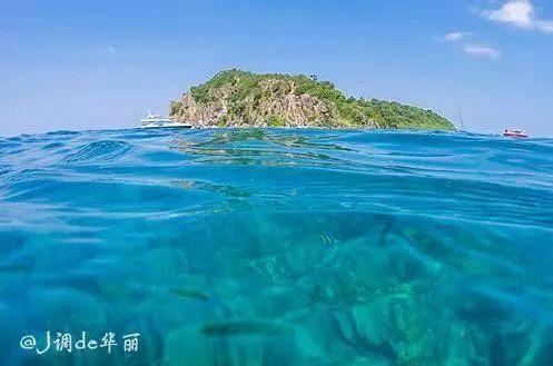 燃烧吧大脑装瓶子游戏
