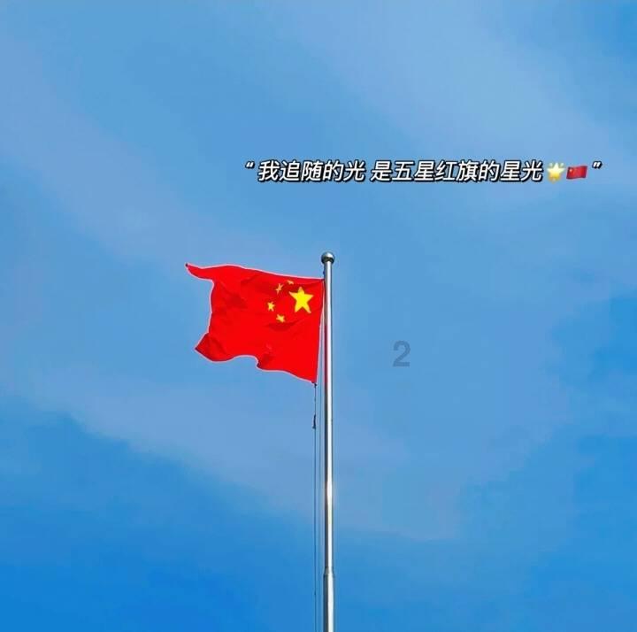 逃离大犀牛出没地