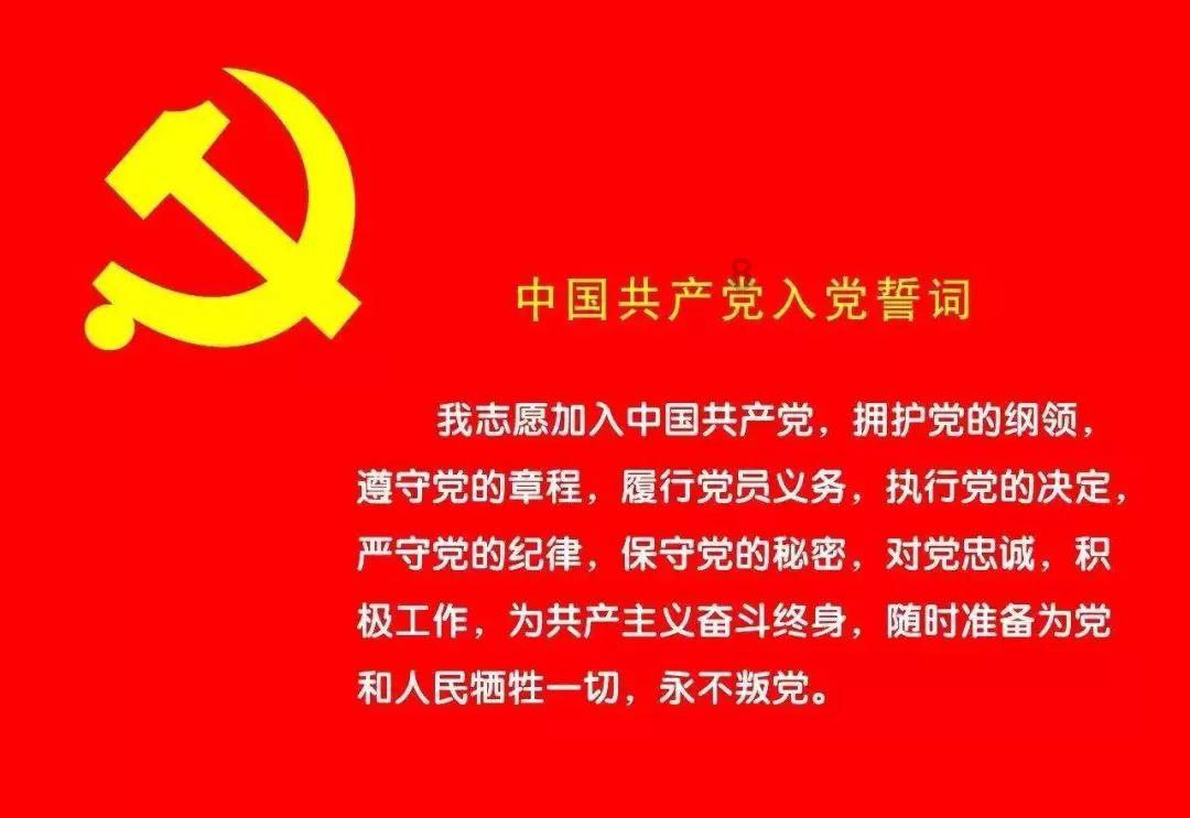 超能动物联盟